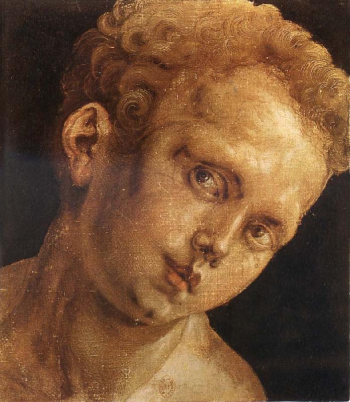Albrecht Durer Head of a boy facing toward  the right Spain oil painting art
